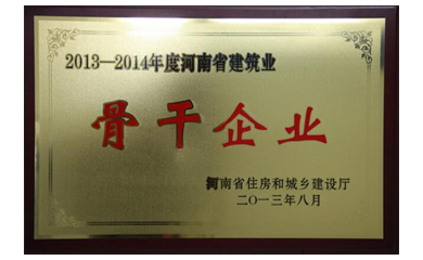 骨干企業(yè)